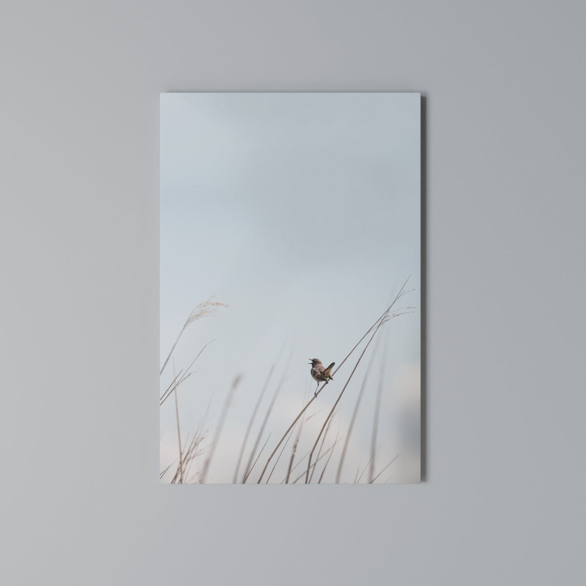 NATURE'S CHORUS Vertical Canvas Print