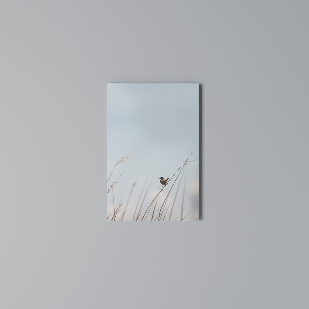 NATURE'S CHORUS Vertical Canvas Print