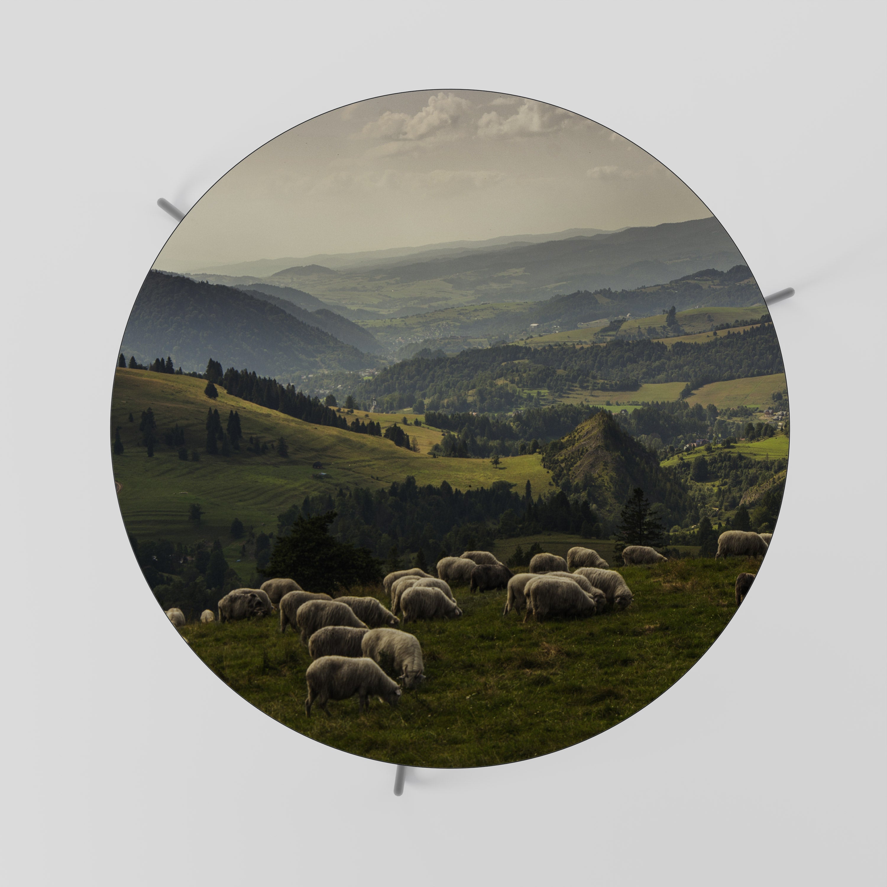 SHEEP IN SERENITY Konferenční stolek