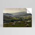 SHEEP IN SERENITY Vodorovný samolepicí plakát