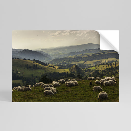 SHEEP IN SERENITY Vodorovný samolepicí plakát