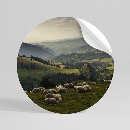 SHEEP IN SERENITY Kulatá samolepka