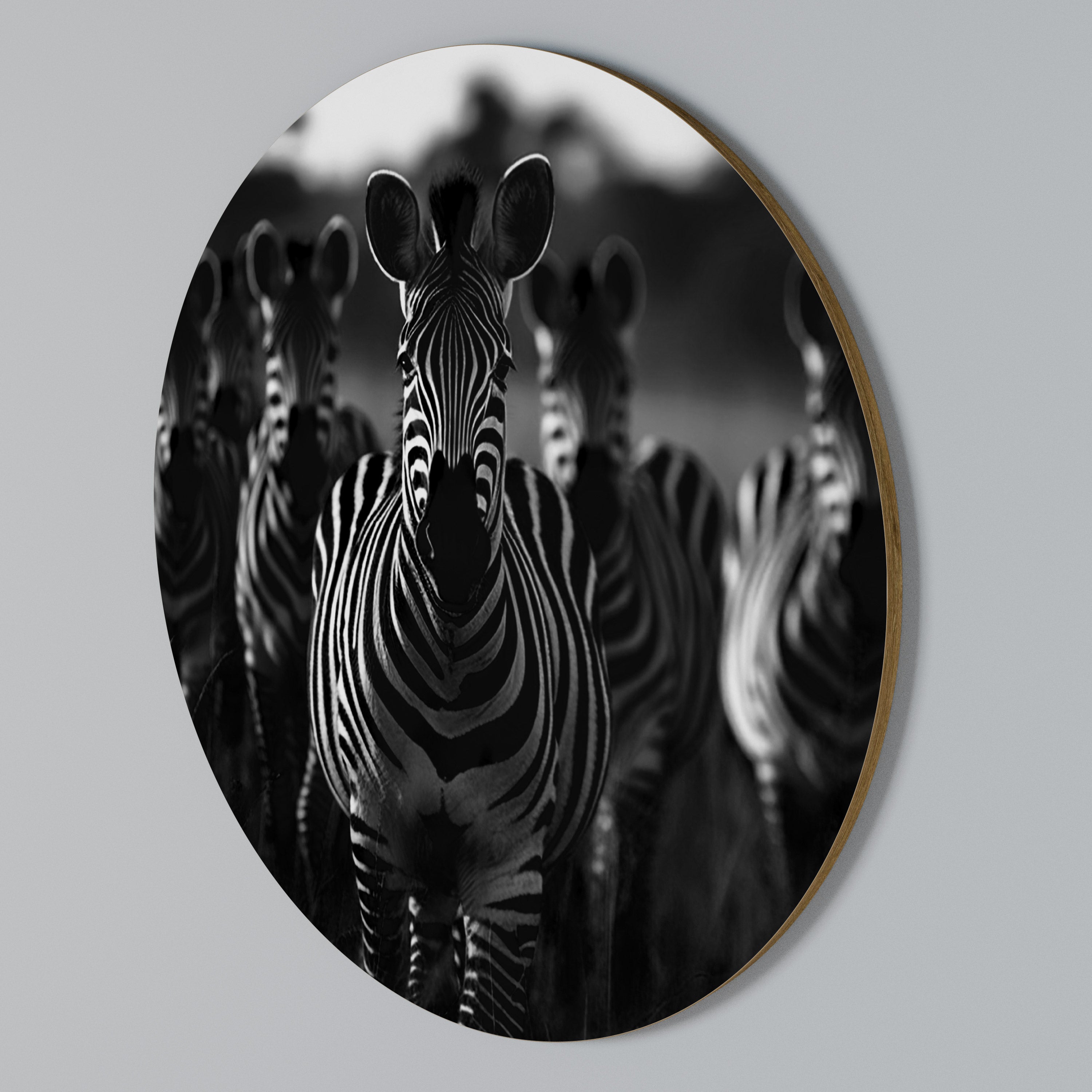 STRIPED SYMPHONY SAGA Kulatá nástěnná dekorace