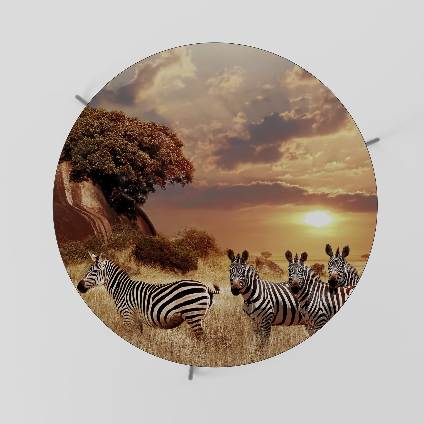 ZEBRA SUNSET SERENADE Konferenční stolek