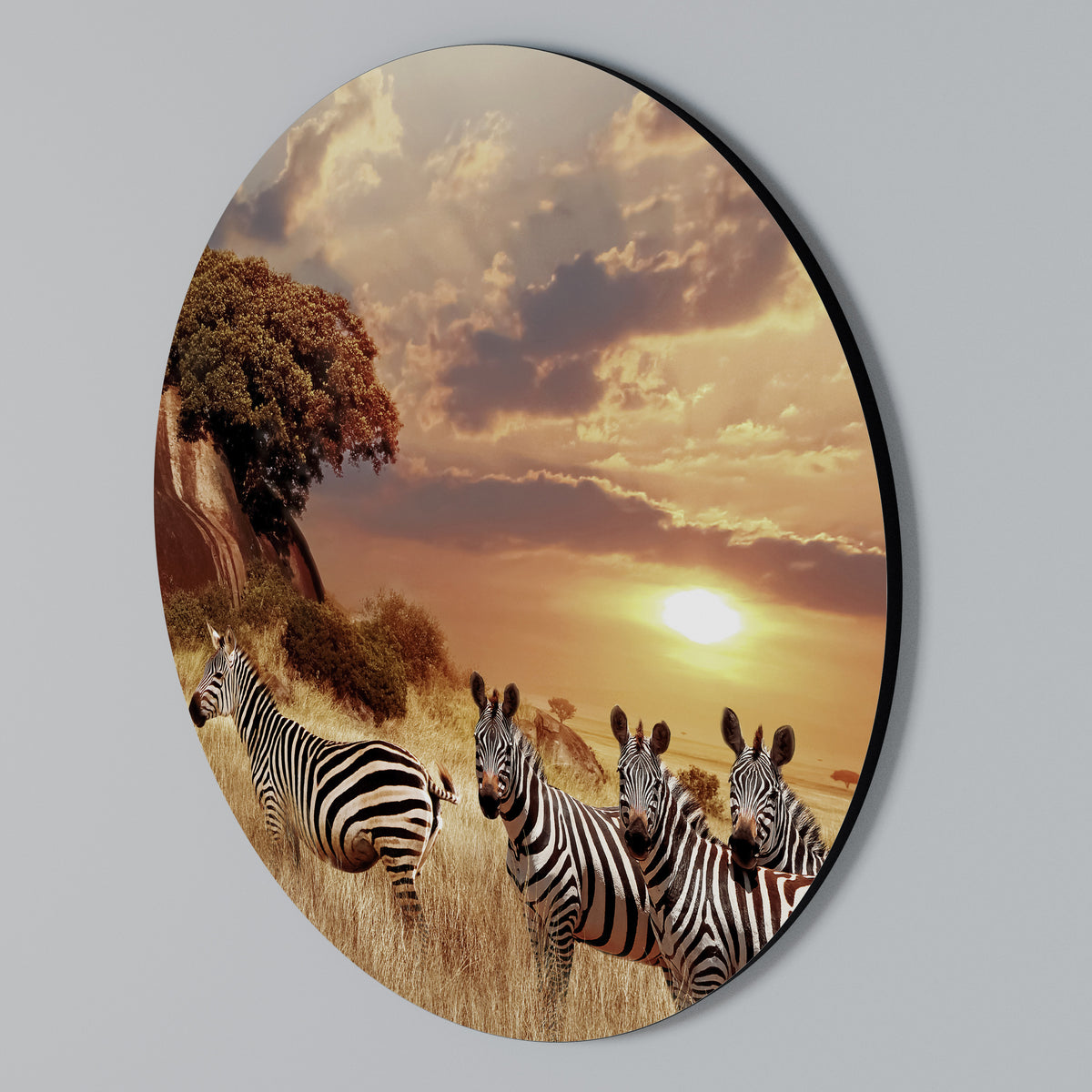 ZEBRA SUNSET SERENADE Kulatá nástěnná dekorace