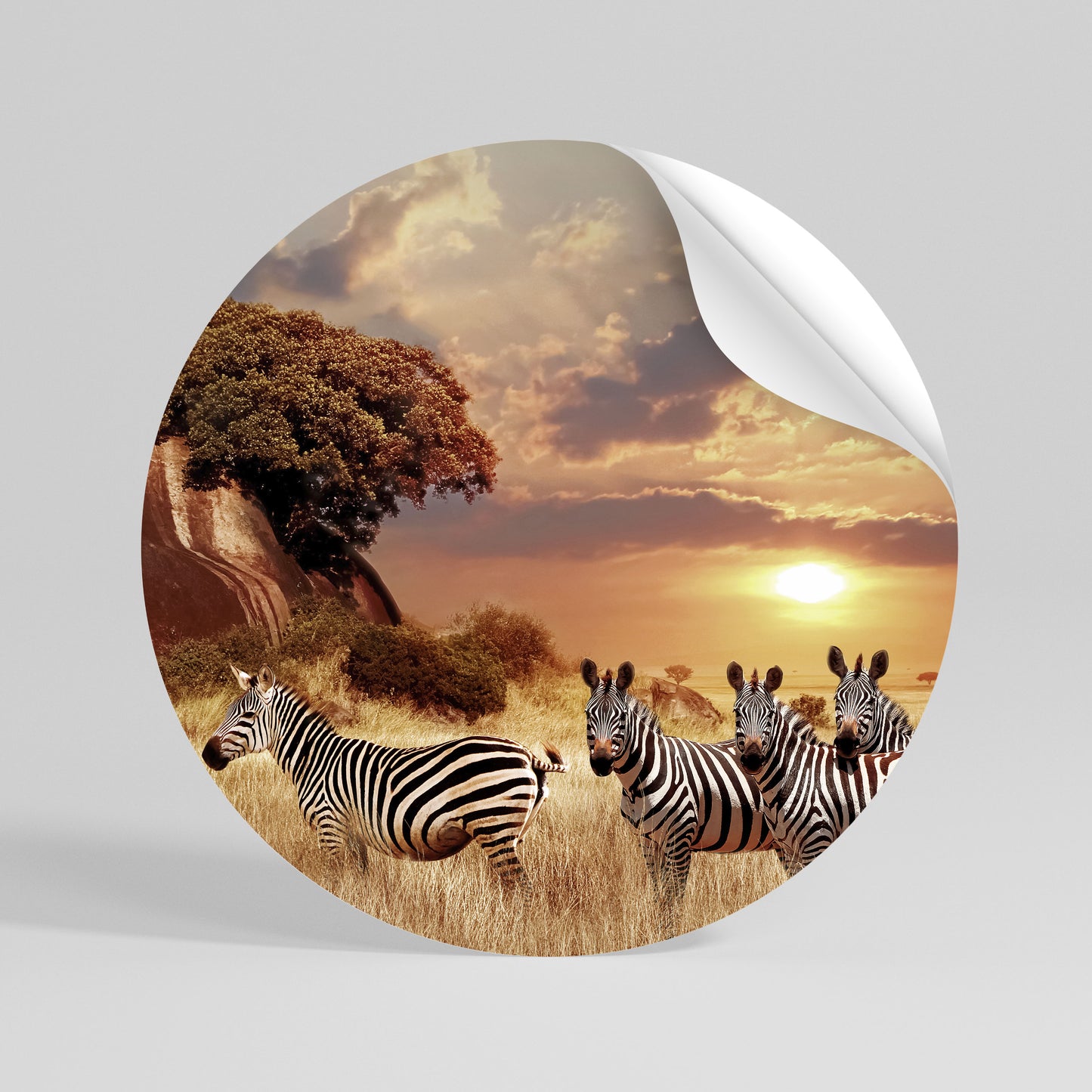 ZEBRA SUNSET SERENADE Kulatá samolepka