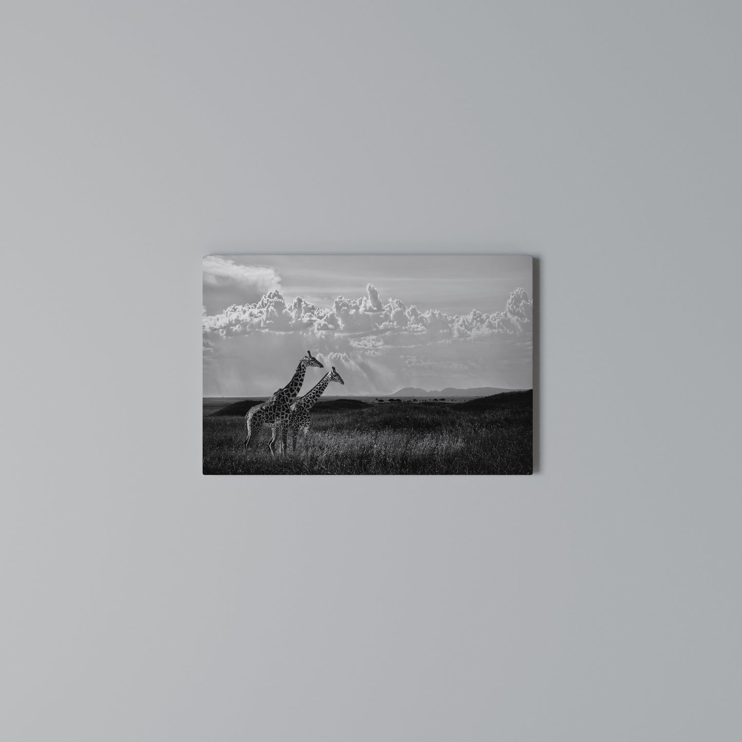 ELEGANT HEIGHTS UNVEILED Horizontal Canvas Print