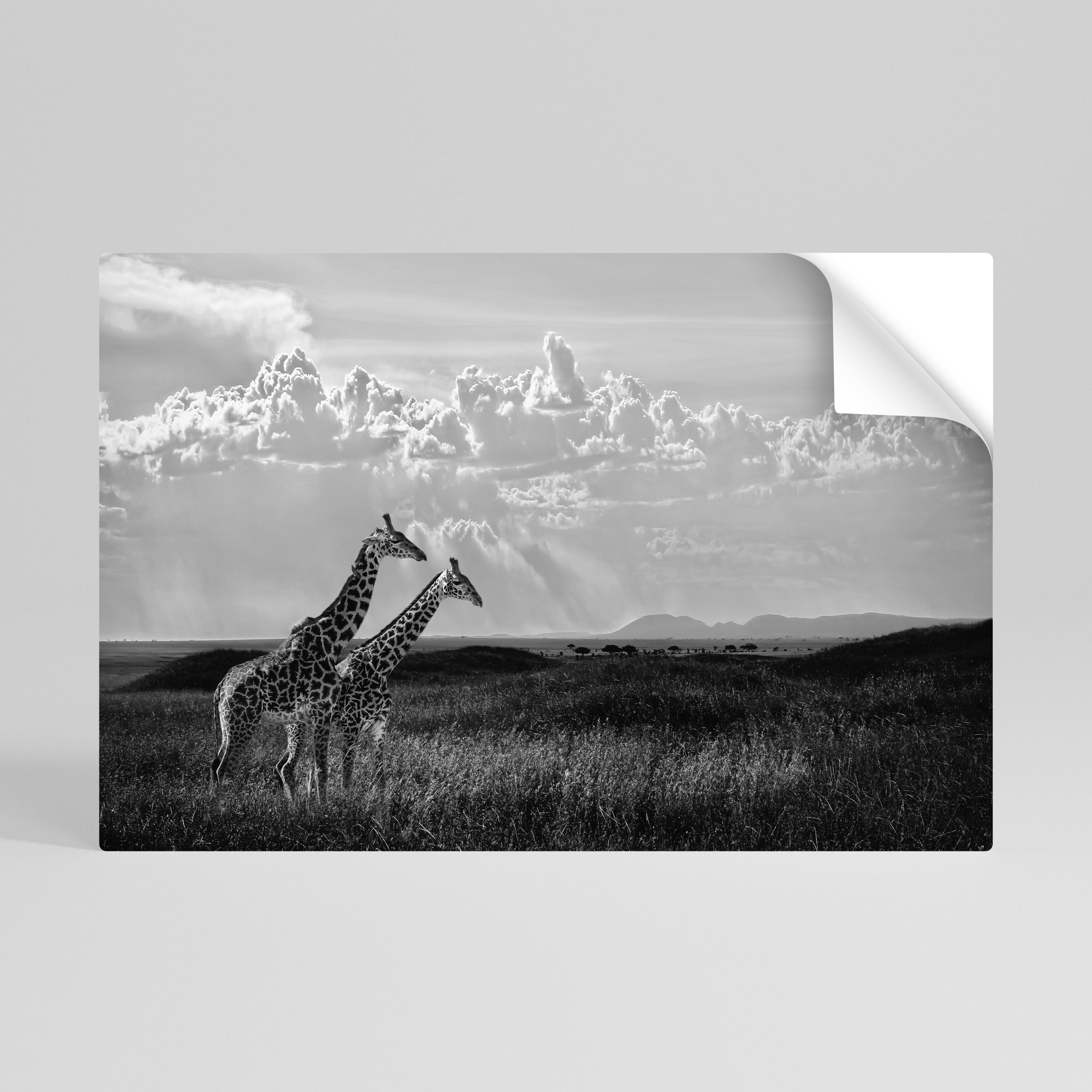 ELEGANT HEIGHTS UNVEILED Vodorovný samolepicí plakát