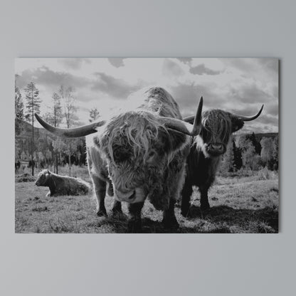 STILLNESS OF OLD SOULS Horizontal Canvas Print