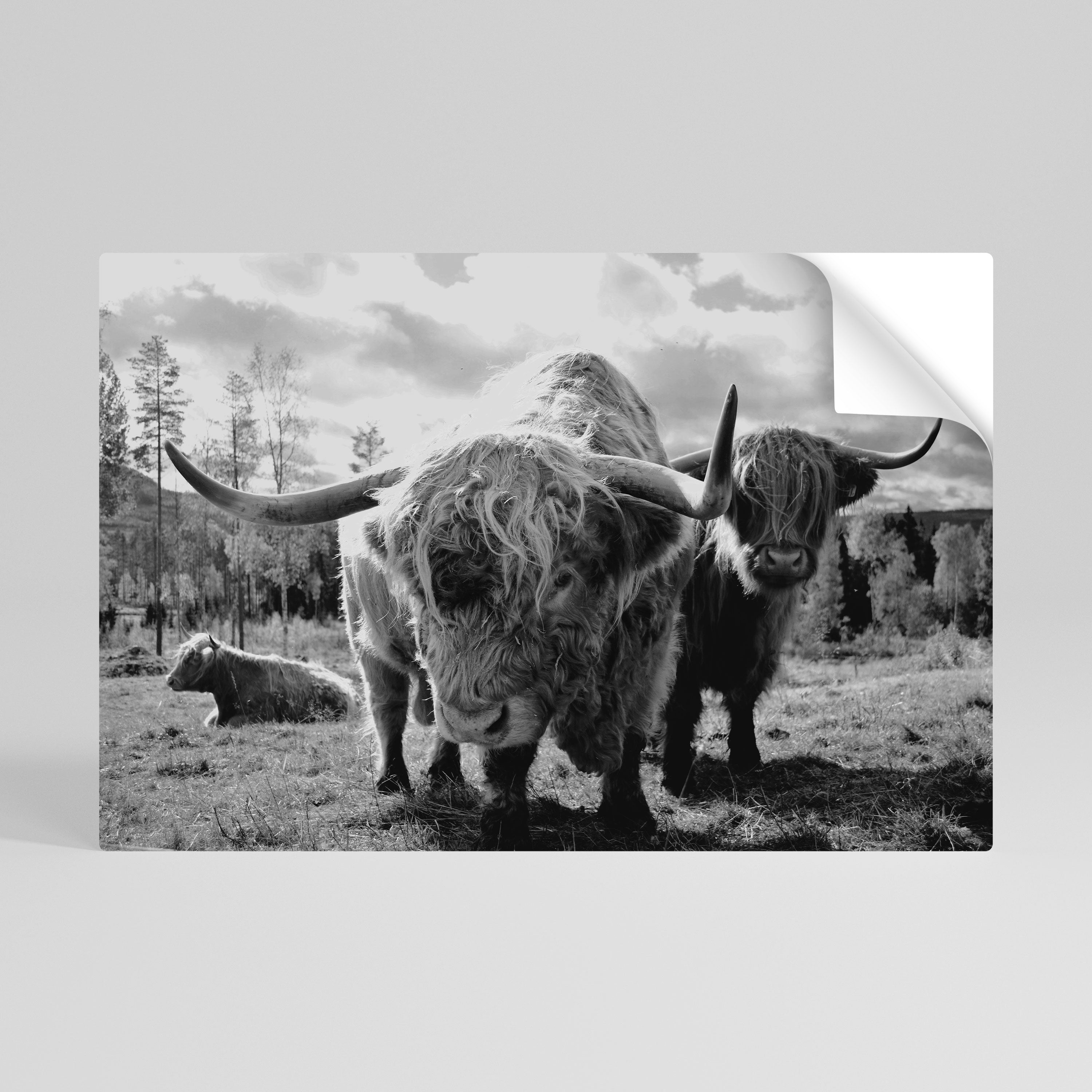 STILLNESS OF OLD SOULS Vodorovný samolepicí plakát