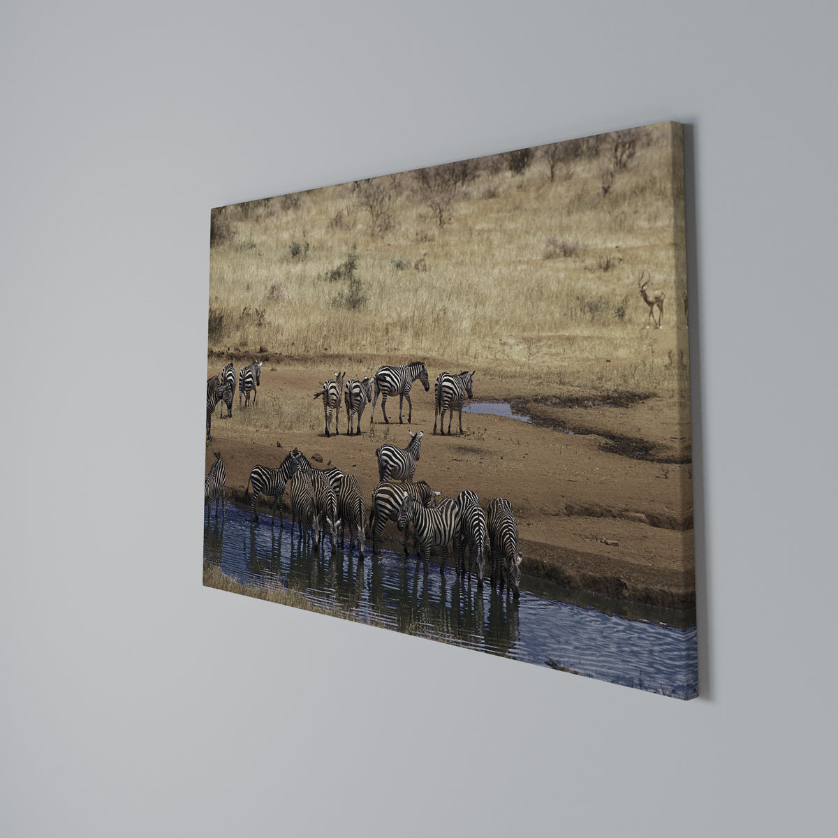 THE ZEBRA HARMONY Horizontal Canvas Print
