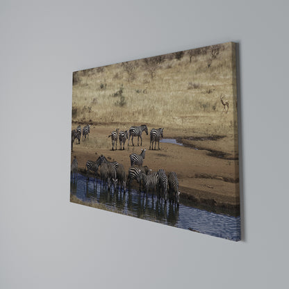 THE ZEBRA HARMONY Horizontal Canvas Print