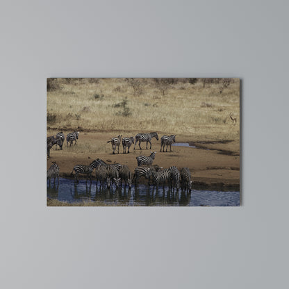 THE ZEBRA HARMONY Horizontal Canvas Print