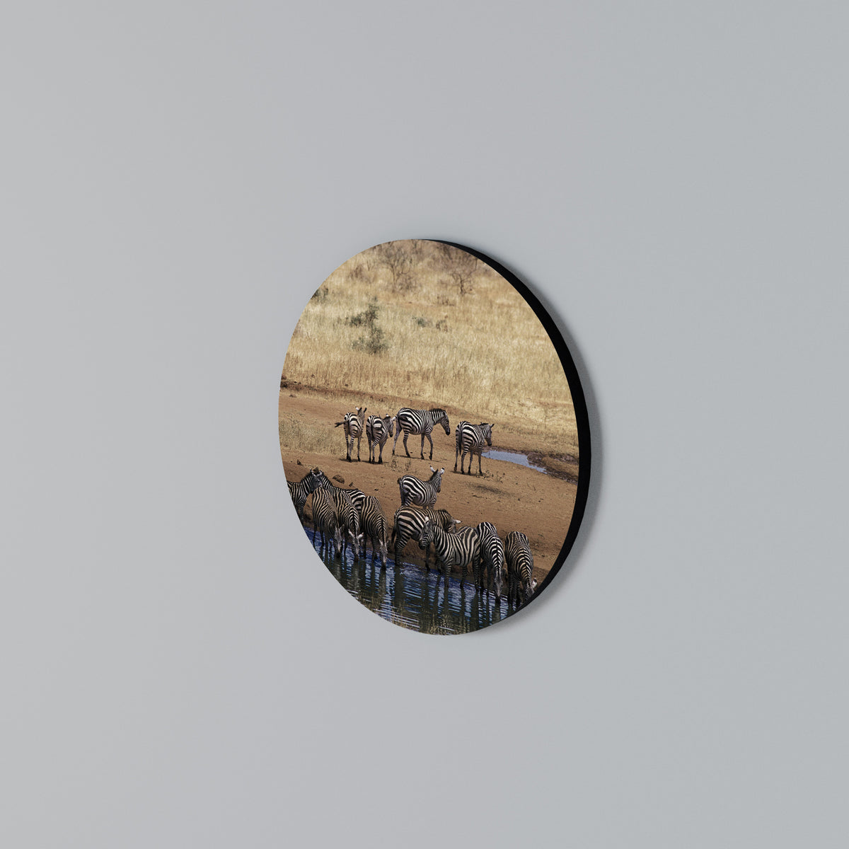 THE ZEBRA HARMONY Kulatá nástěnná dekorace
