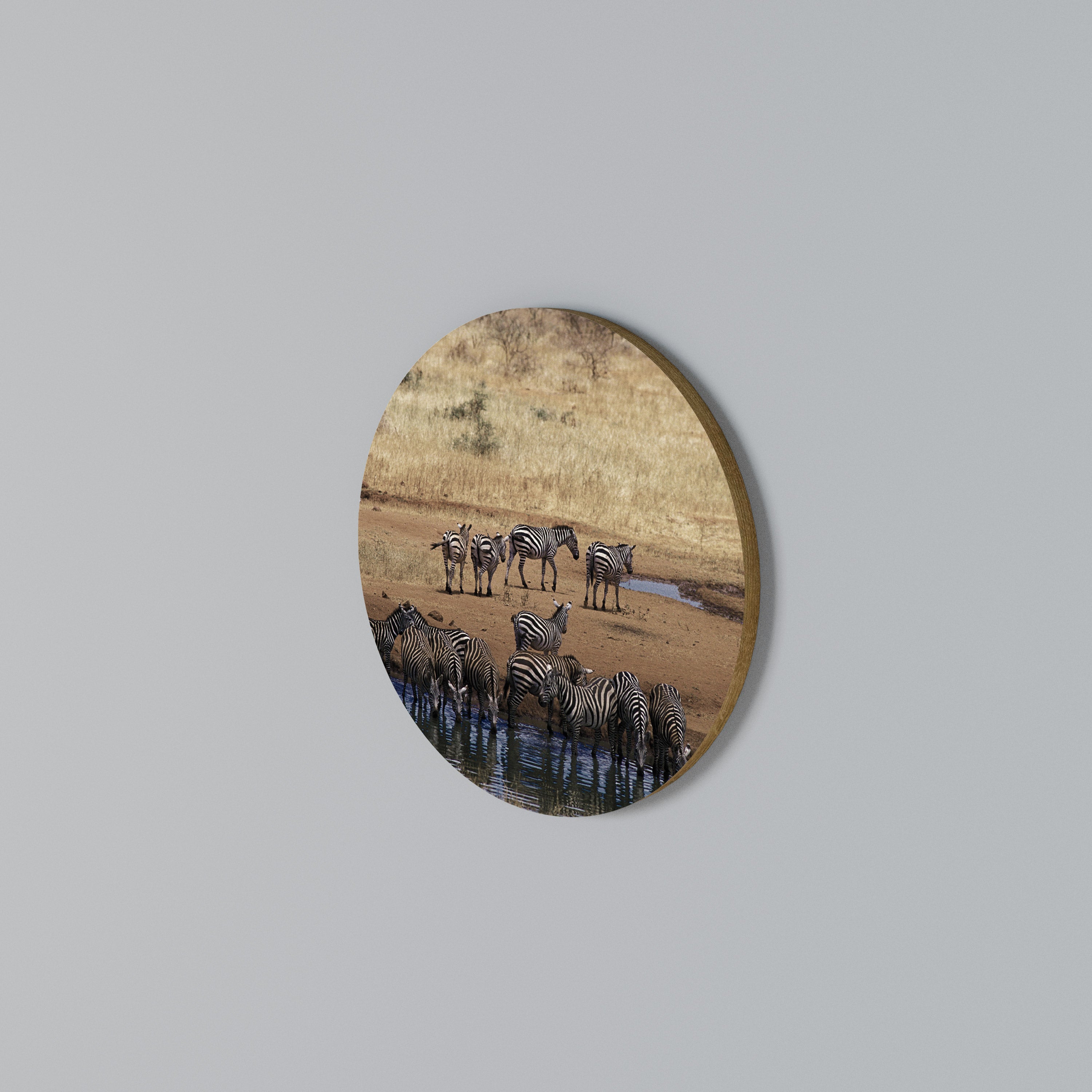 THE ZEBRA HARMONY Round Wall Art