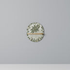 VERDANT ARINI Designová police