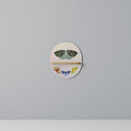 MOTH INTO THE LIGHT Designová police