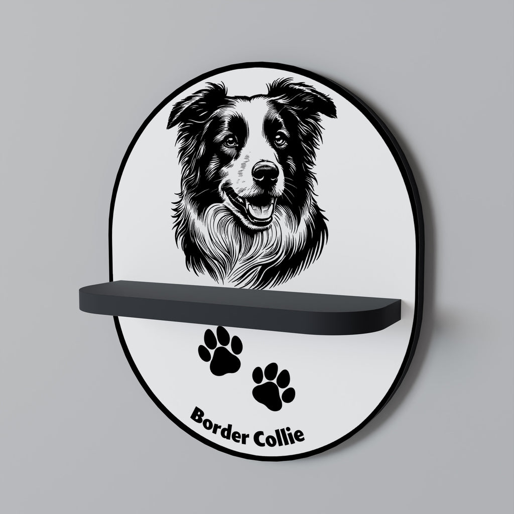 BORDER COLLIE Designová police