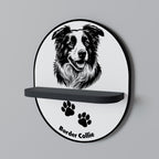 BORDER COLLIE Designová police