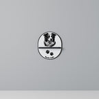 BORDER COLLIE Designová police