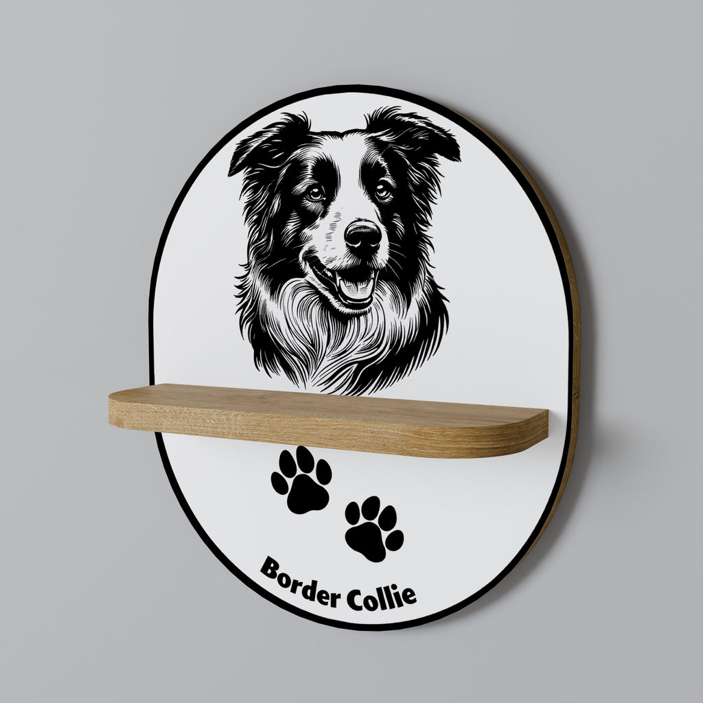 BORDER COLLIE Designová police
