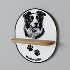 BORDER COLLIE Designová police