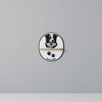 BORDER COLLIE Designová police