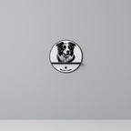 BORDER COLLIE Designová police