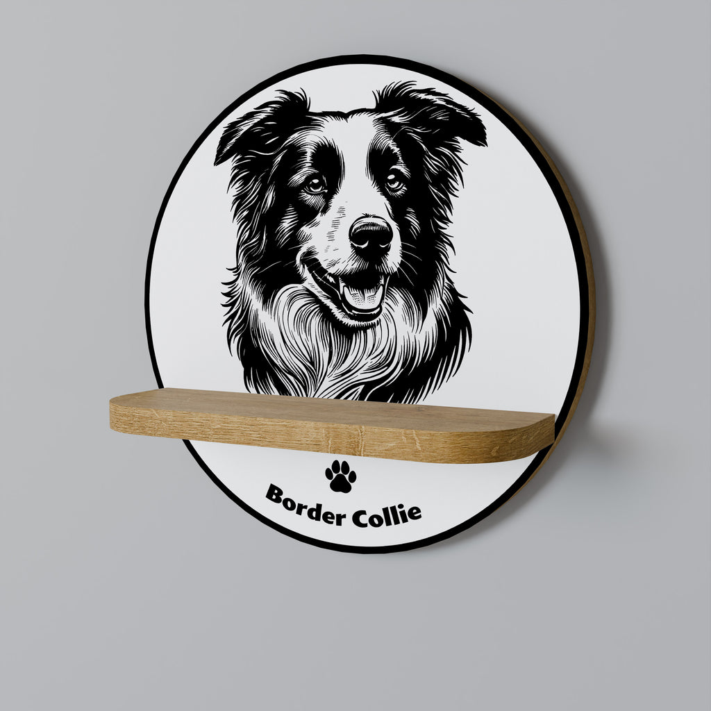 BORDER COLLIE Designová police