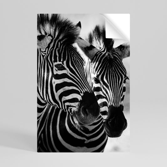 STRIPED SYMPHONY Svislý samolepicí plakát