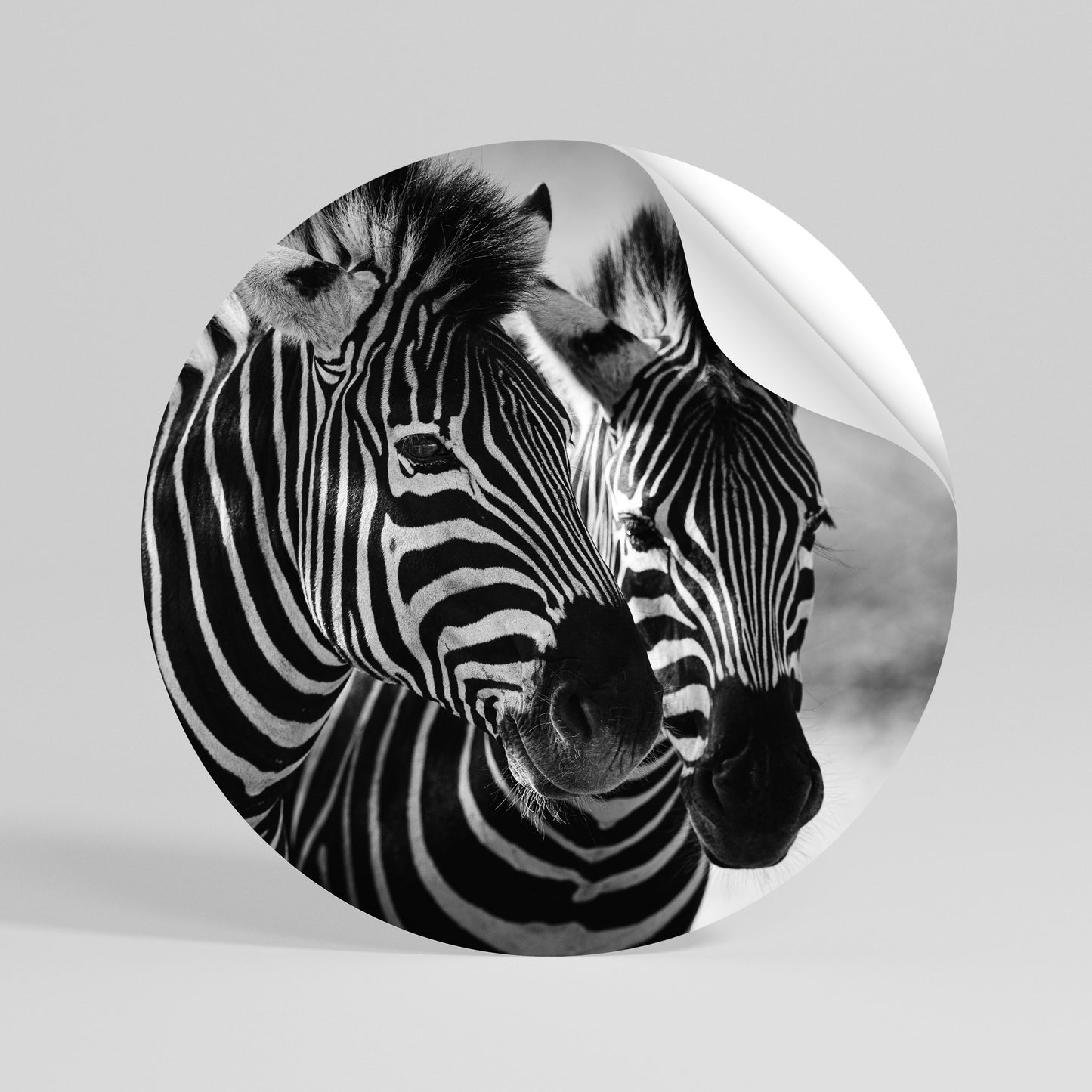 STRIPED SYMPHONY Kulatá samolepka