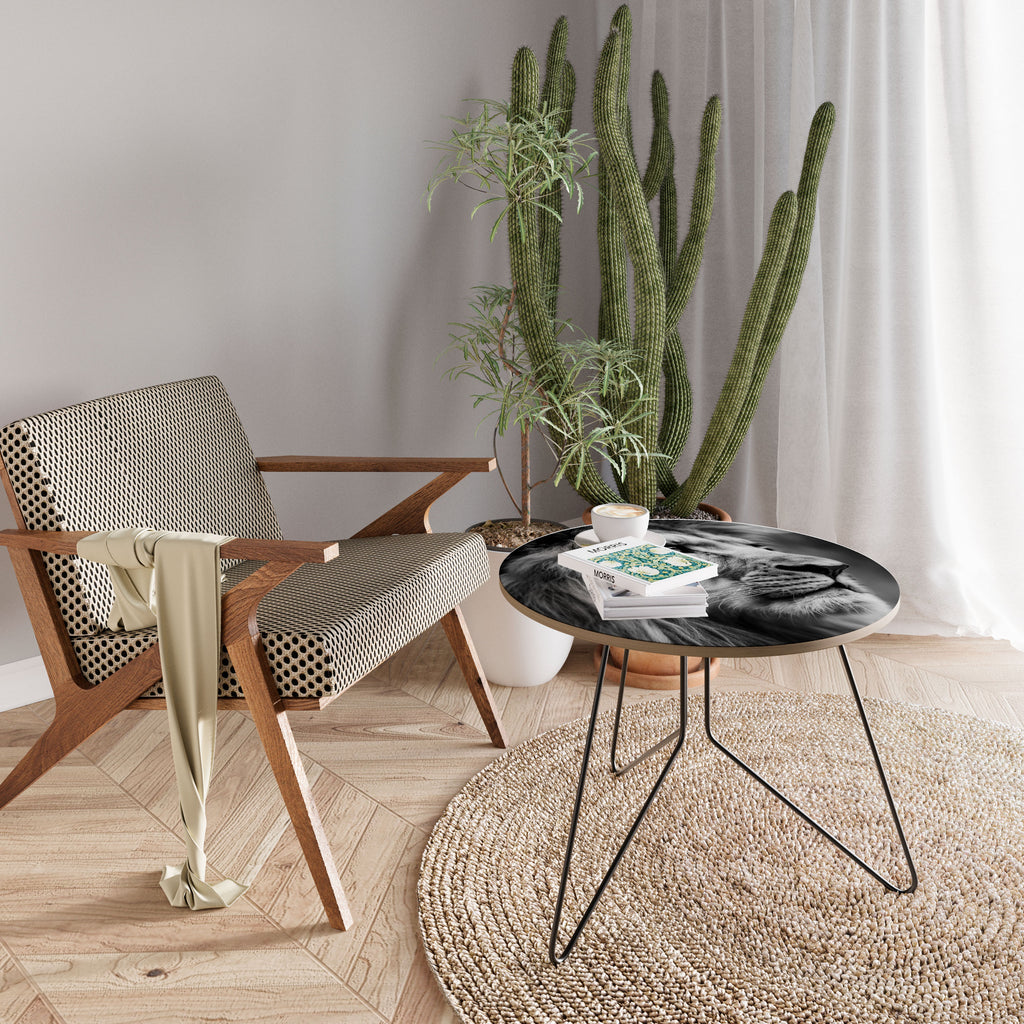 ROYAL REFLECTION Coffee Table