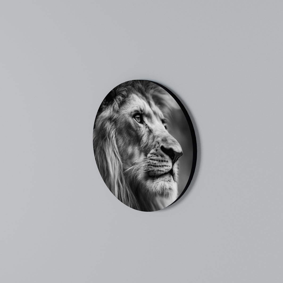 ROYAL REFLECTION Kulatá nástěnná dekorace