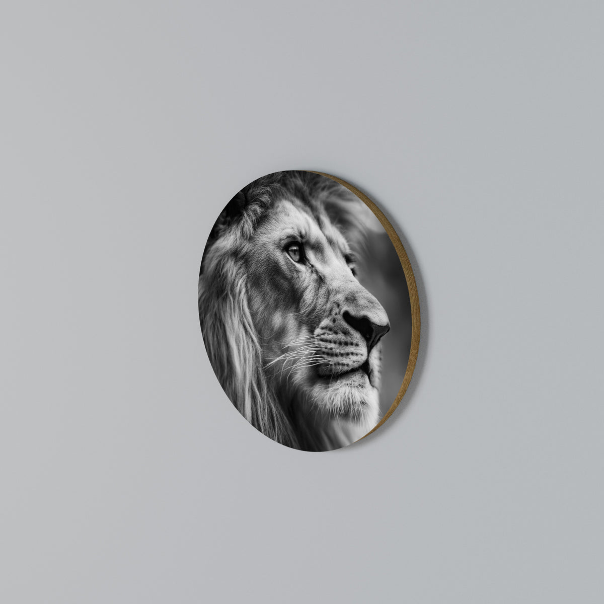 ROYAL REFLECTION Kulatá nástěnná dekorace