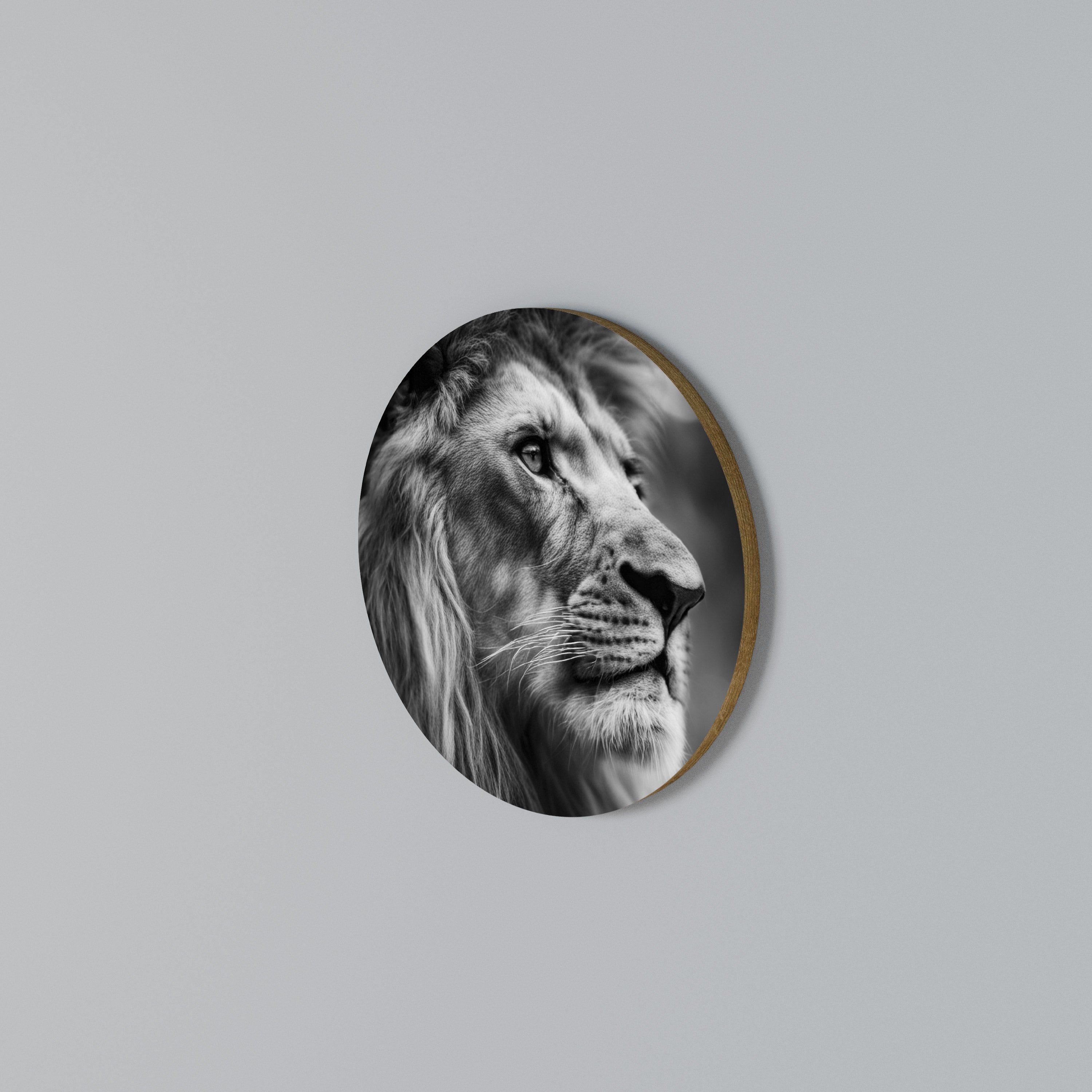 ROYAL REFLECTION Kulatá nástěnná dekorace