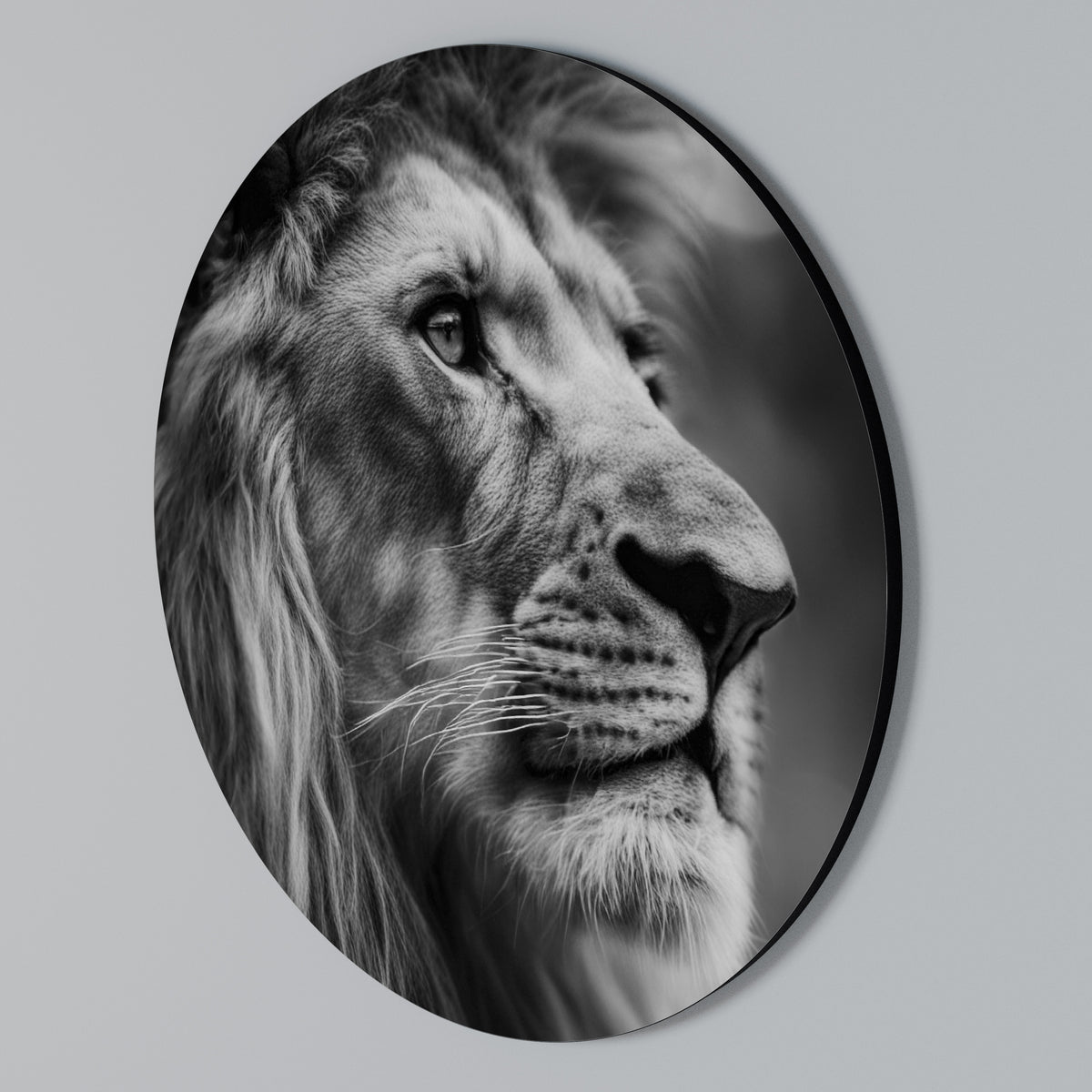 ROYAL REFLECTION Kulatá nástěnná dekorace