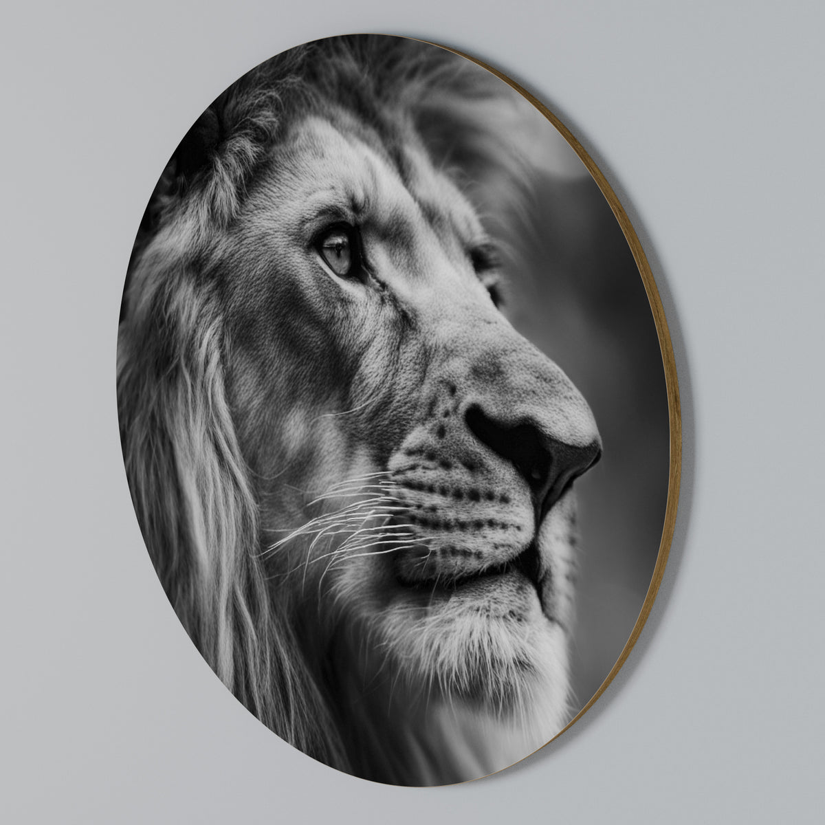 ROYAL REFLECTION Kulatá nástěnná dekorace